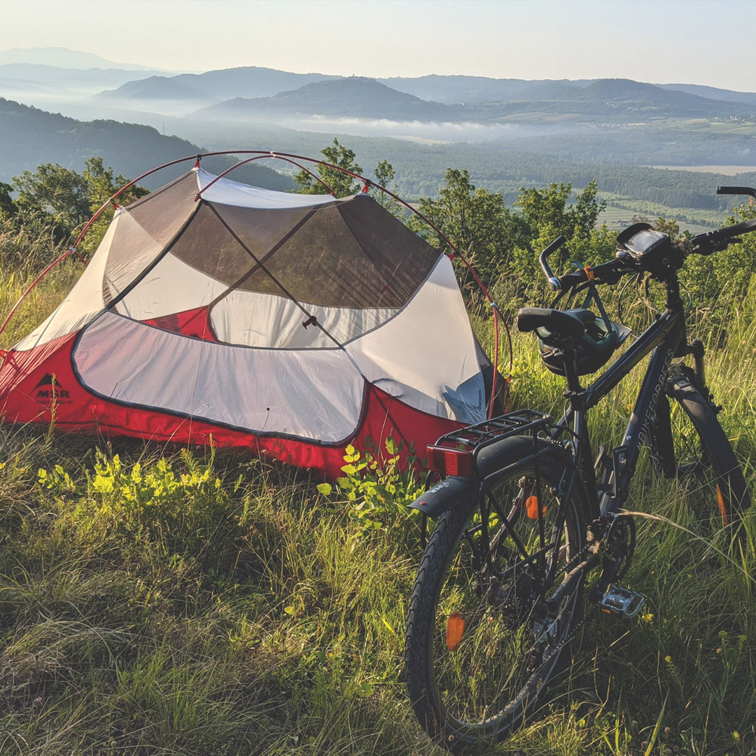 bikeforbees Neues Zuhause | Steppenwolf