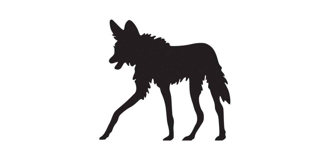 Steppenwolf Steppenwolf